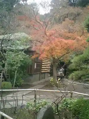 長谷寺のその他建物