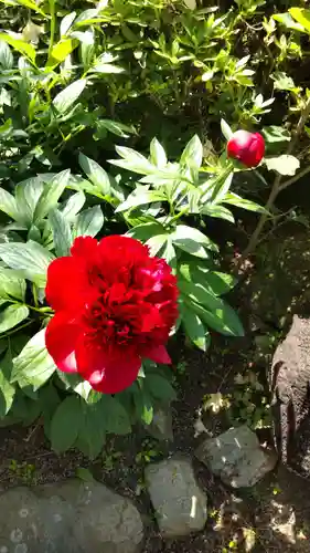 石光寺(奈良県)