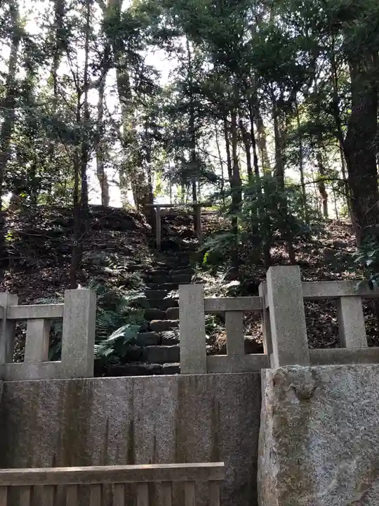 寒川神社(神奈川県)