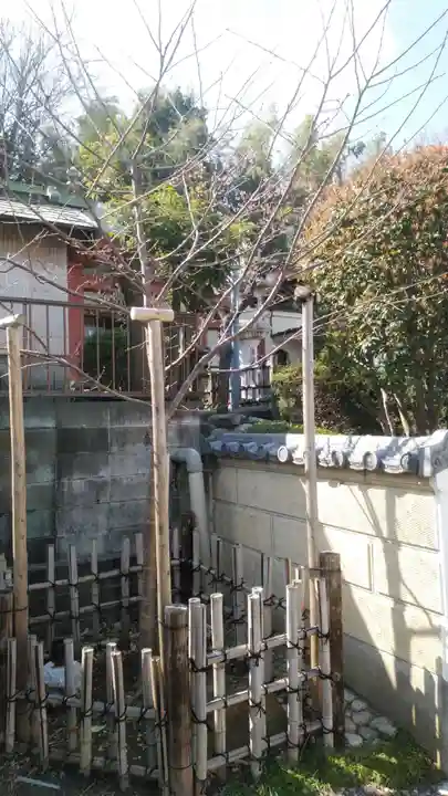 浄土宗 光明山 大蓮寺(照曜会館)の自然
