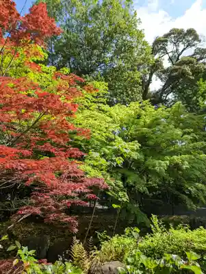 長岡天満宮(京都府)