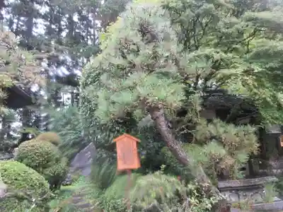 瑞鳳寺(宮城県)