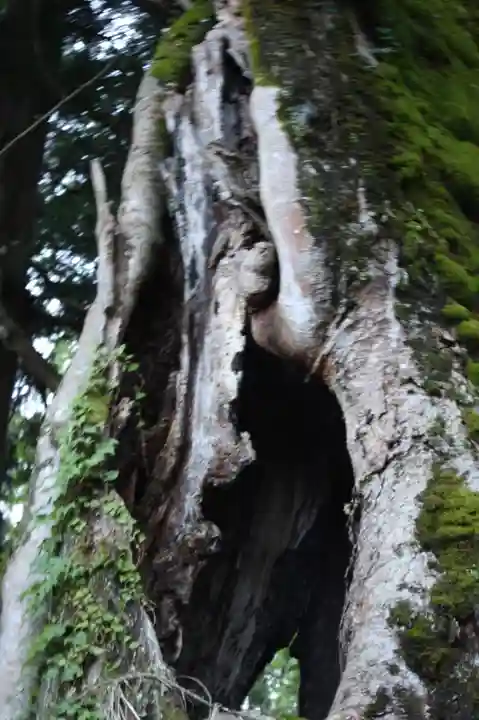 阿上三所神社(京都府)