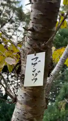 矢不来天満宮(北海道)