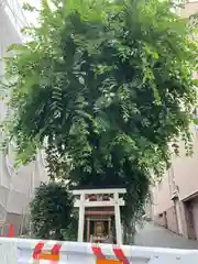 白光大神 (大阪府)