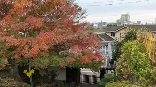 橋寺 放生院(京都府)