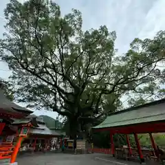 熊野那智大社(和歌山県)