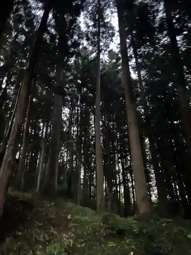 大宮温泉神社(栃木県)