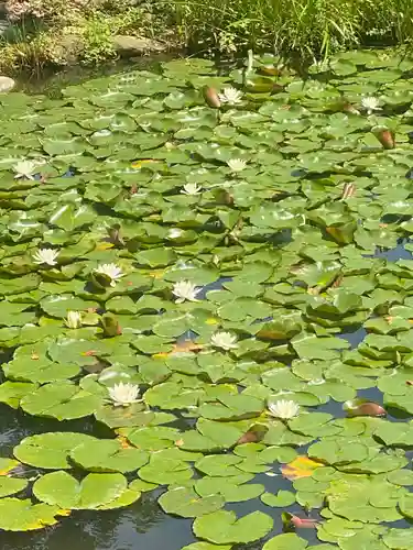 武蔵寺の庭園