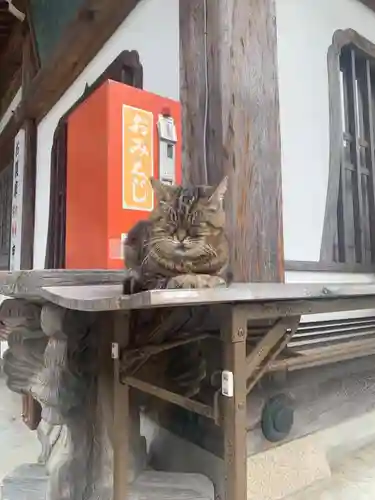白峯寺(香川県)