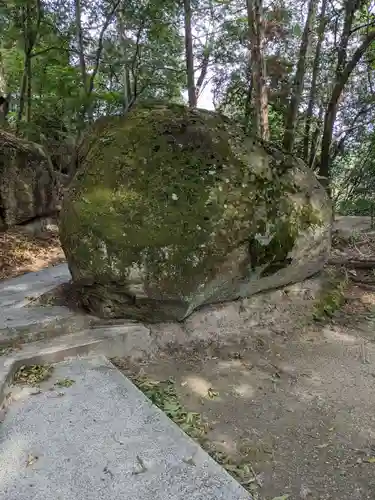 丸山神社の自然