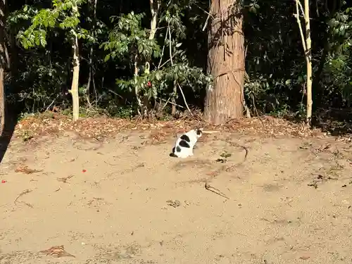 鎌数伊勢大神宮(千葉県)