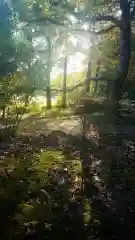 尾張大國霊神社（国府宮）の周辺