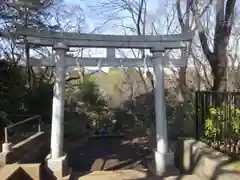 石神井氷川神社の鳥居