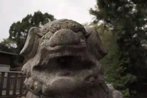 三柱神社の狛犬