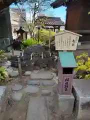 千葉神社(千葉県)