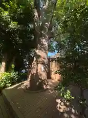 鎮守氷川神社(埼玉県)