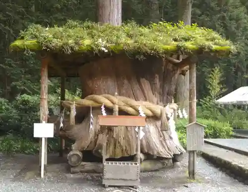 小國神社の自然