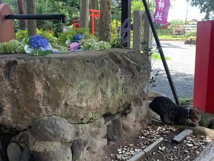 飯福神社(群馬県)