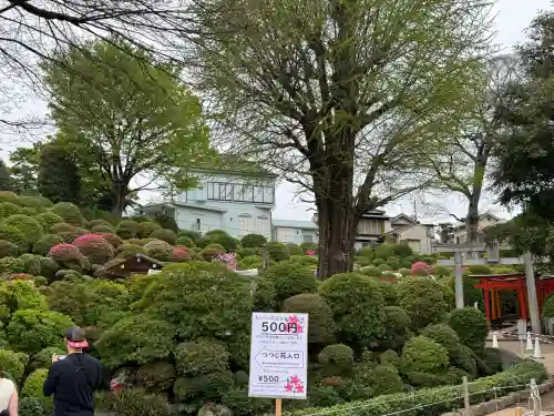 根津神社の{uncategorized: "未分類", other: "その他", undefined: "問題あり", building: "その他建物", grave: "お墓", sacred_gate: "鳥居", guardian: "狛犬", statue: "像", buddha: "仏像", history: "歴史", nature: "自然", garden: "庭園", animal: "動物", pagoda: "塔", temizu: "手水舎", mountain_gate: "山門・神門", sanctuary: "本殿・本堂", subordinate: "末社・摂社", art: "芸術", scenery: "景色", jizo: "地蔵", ema: "絵馬", goshuin: "御朱印", omikuji: "おみくじ", items: "授与品その他", amulet: "お守り", goshuincho: "御朱印帳", eats: "食事", festival: "お祭り", votive_dance: "神楽", shichigosan: "七五三参", wedding: "結婚式", experience: "体験その他", initially: "初詣", around: "周辺", anti_infection: "感染症対策"}