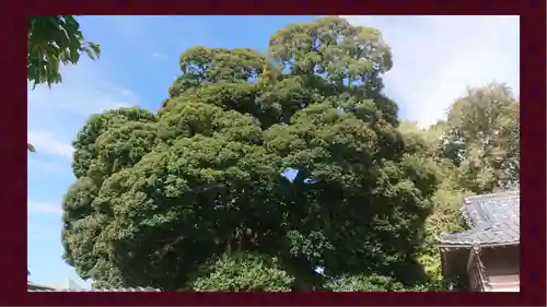 九重神社(埼玉県)