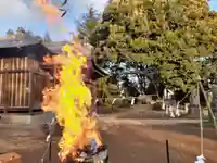 伏木香取神社のお祭り