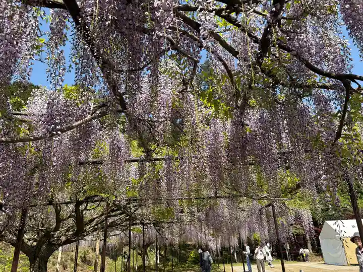 天台宗 五大山 白毫寺(兵庫県)