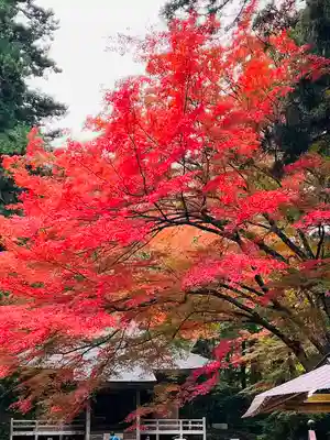 中尊寺(岩手県)