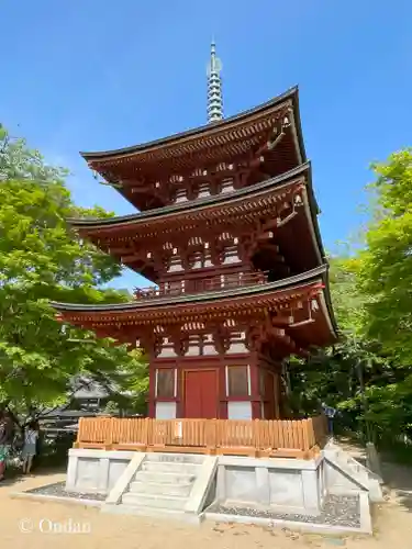 岡寺（龍蓋寺）(奈良県)