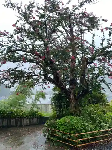 白山神社の庭園