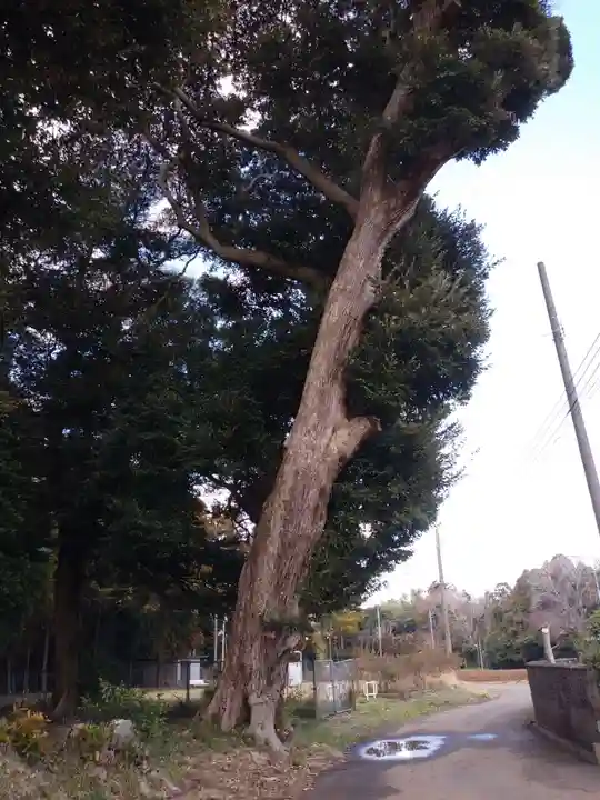 香取神社の周辺