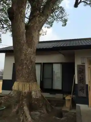 春日神社(福岡県)