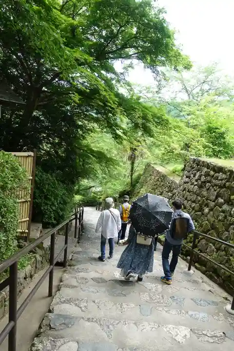 長谷寺(奈良県)