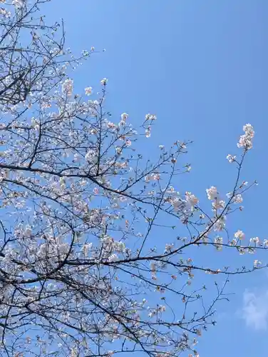 天徳寺(神奈川県)