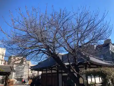 感通寺(東京都)