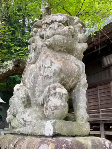 河口浅間神社の狛犬