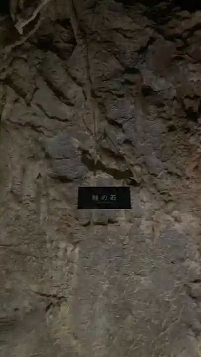 龍王神社の自然