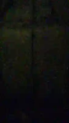 沖ノ島宇賀大明神社(千葉県)