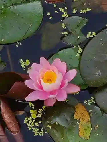 牛嶋天満宮(佐賀県)