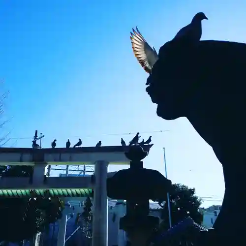 天祖神社の動物