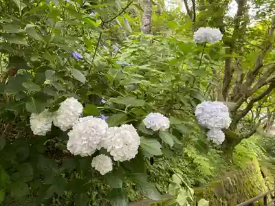 奥の院（菩提院）(奈良県)