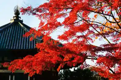 興福寺 南円堂(奈良県)