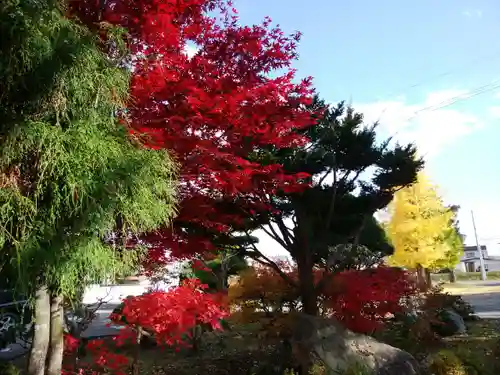 美幌神社の自然