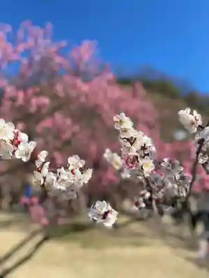 神前神社(岡山県)