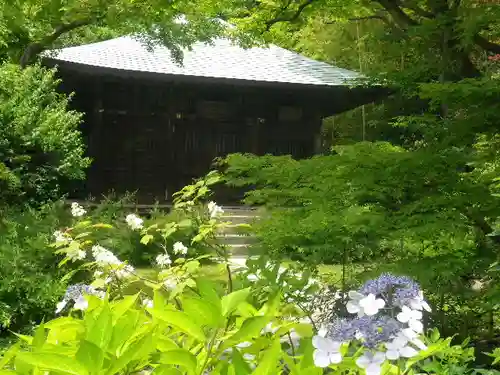 浄光明寺の本殿・本堂