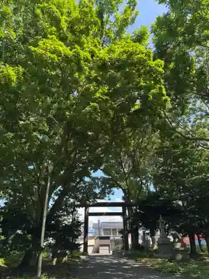 羽幌神社(北海道)