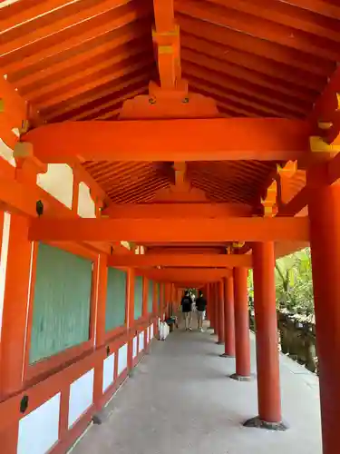 春日大社(奈良県)