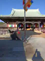 村松虚空蔵堂（日高寺）(茨城県)