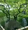 王禅寺(神奈川県)