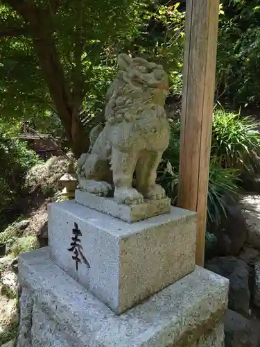 銭洗弁財天宇賀福神社の狛犬